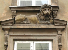 Lviv beasts. Lions